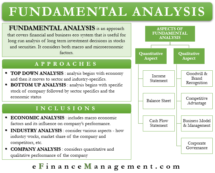 Key Metrics in Fundamental Analysis
