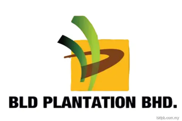bld plantation share price